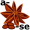 star anise5
